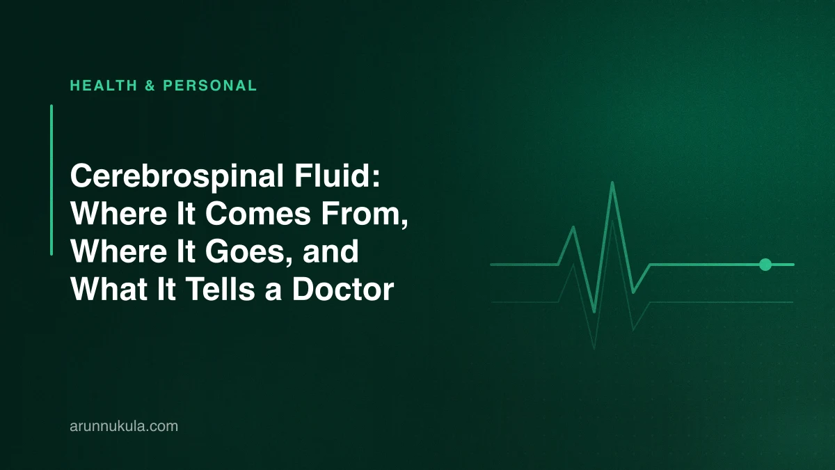 Cerebrospinal Fluid: Where It Comes From, Where It Goes, and What It Tells a Doctor