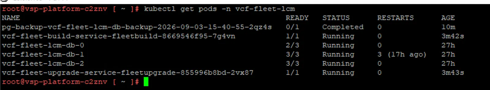 Fleet build and upgrade service pods recreated with new hashes