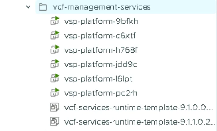 The vcf-management-services folder after the patch, with six differently named nodes and both the 9.1.0.0 and 9.1.1.0 runtime templates