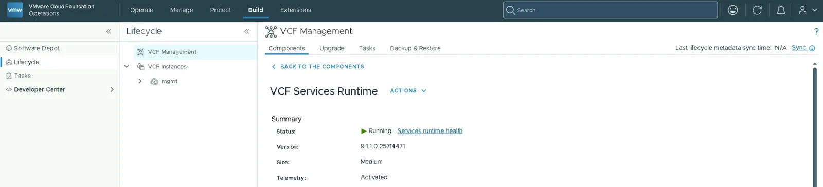VCF Services Runtime component summary showing version 9.1.1.0 and status Running
